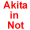 (c) Akita-in-not.de